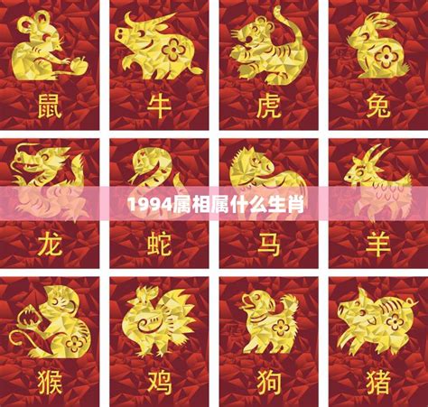 生肖 1994|1994 年出生属什么生肖